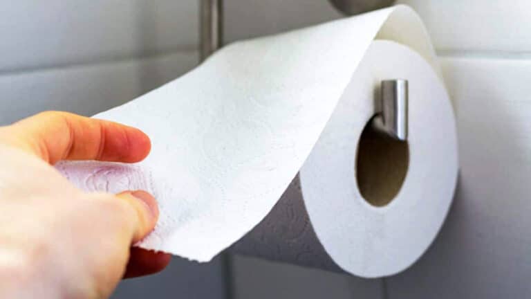 Du vinaigre sur du papier toilette : ce secret magique que de nombreuses personnes utilisent