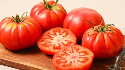 Si vous voyez ceci sur une tomate, vous devez la jeter immédiatement