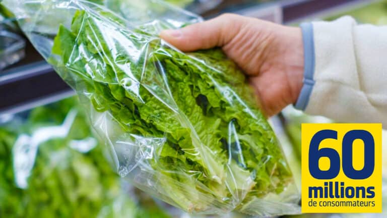 Cette salade en sachet du supermarché est la plus contaminée aux pesticides selon 60 Millions de consommateurs