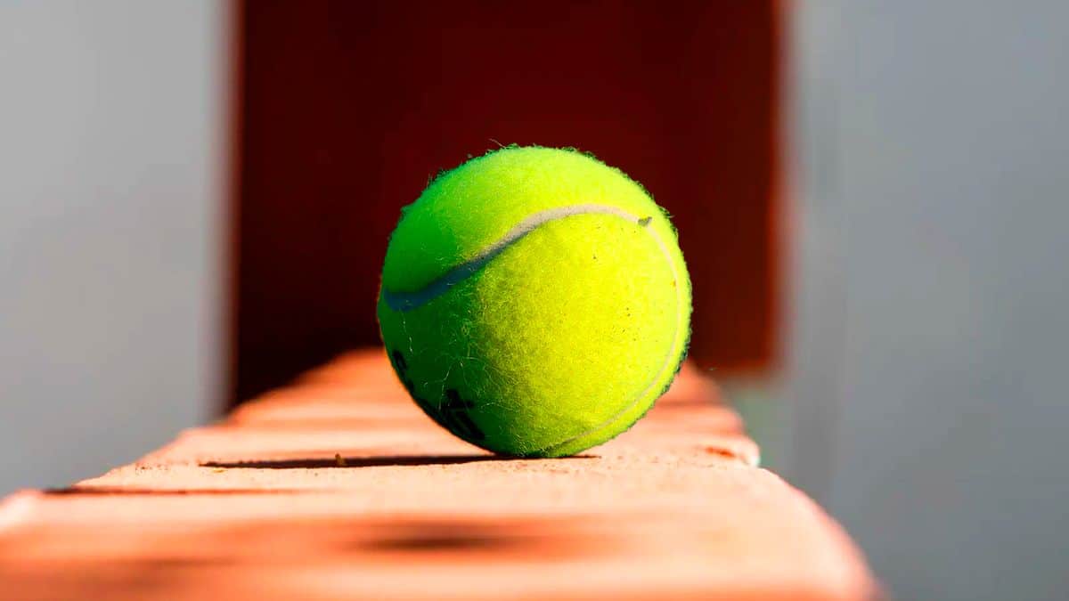 Cette curieuse astuce avec une balle de tennis pour éliminer les taches tenaces va vous surprendre