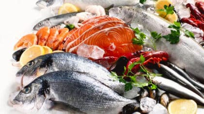 Ces poissons contiennent le plus de mercure : la liste à éviter absolument selon des experts