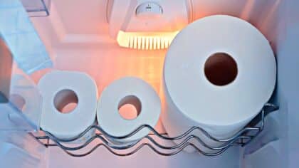 Les avantages méconnus de conserver le papier toilette dans le réfrigérateur selon les experts
