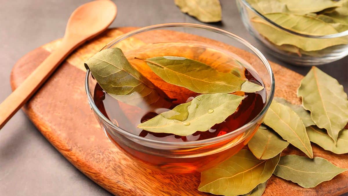 Les effets inattendus et surprenants du mélange de feuilles de laurier avec du vinaigre