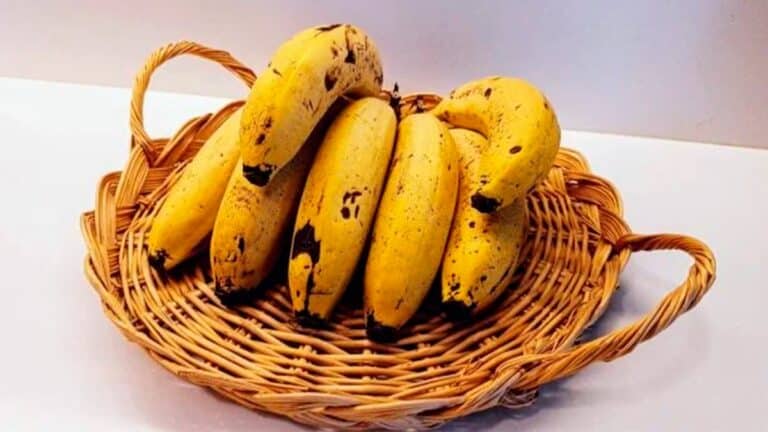 L’alerte des experts sur les bananes qui ont des taches brunes ou noires : c’est très important