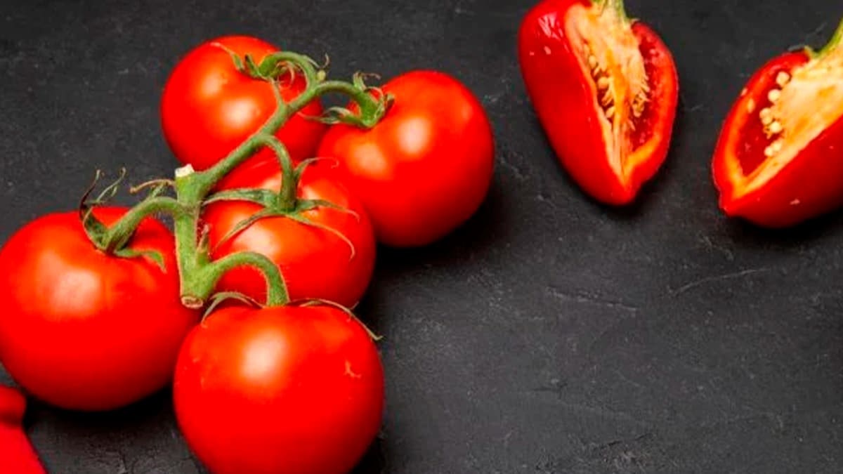 L’astuce pour redonner aux tomates leur véritable goût: le secret des chefs pour changer la saveur