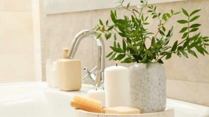 Les bienfaits méconnus du laurier dans la douche: une astuce qui règle un gros problème chez vous