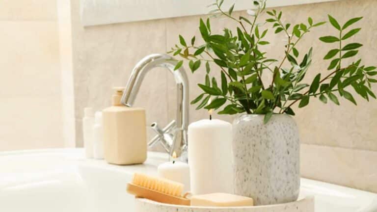 Les bienfaits méconnus du laurier dans la douche: une astuce qui règle un gros problème chez vous