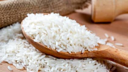 2 types de riz à bannir et ceux que vous devez privilégier pour votre santé selon une nutritionniste