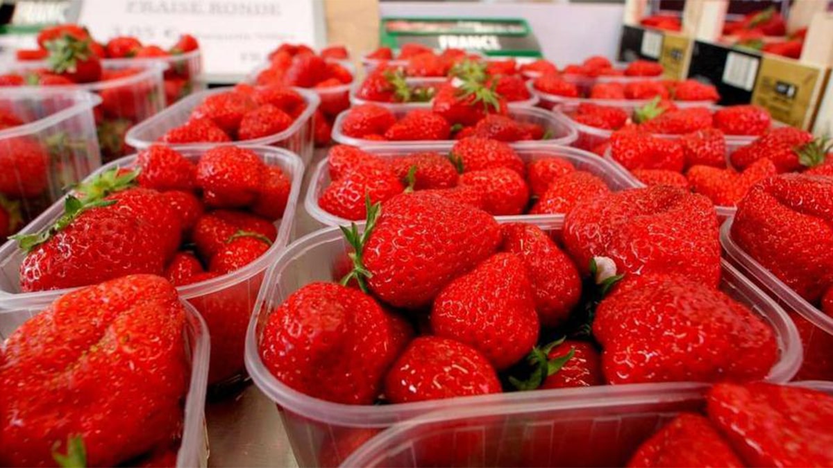 Alerte : ces fraises à ne surtout pas acheter au supermarché, elles sont bourrées de pesticides