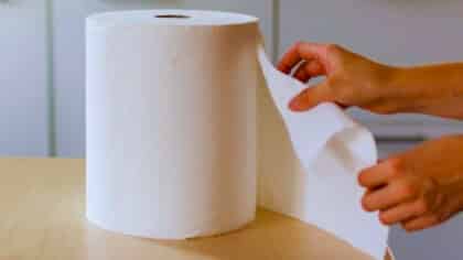 Ça va vous changer la vie : l’astuce du papier essuie-tout que de plus en plus de gens adoptent