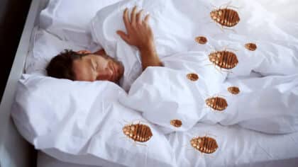 Cette odeur spécifique peut être un signe que vous avez des punaises de lit dans votre chambre