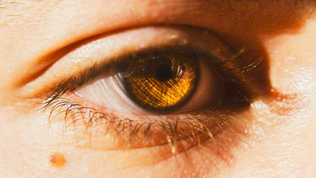 La raison pour laquelle une personne évite le contact visuel, selon la psychologie