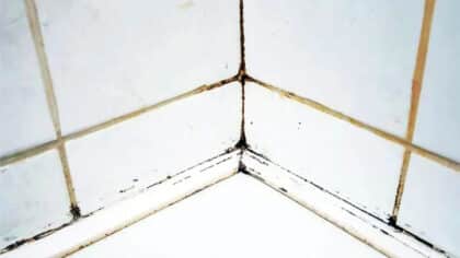 L’astuce miracle pour éradiquer la moisissure des joints de carrelage sans effort ni vinaigre ou ammoniaque