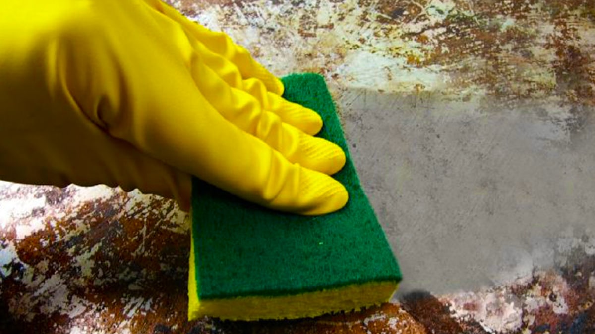 Le dégraissant maison avec 2 ingrédients qui élimine les taches de graisse rapidement et efficacement