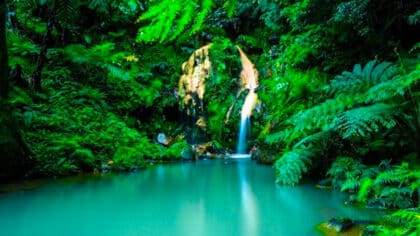 Le paradis pour la retraite : cela ressemble aux Caraïbes et vous pouvez vivre dans le luxe avec 950 €