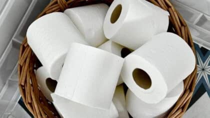 L’erreur fatale que nous faisons tous: voici comment vous devez vous nettoyer aux WC selon les scientifiques
