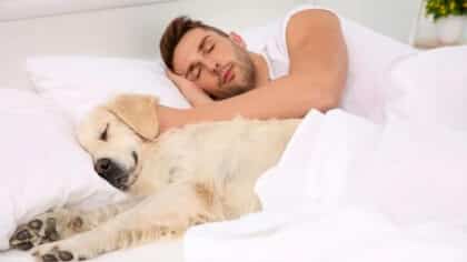 Les personnes qui dorment avec leurs animaux ont ces 7 caractéristiques selon les psychologues
