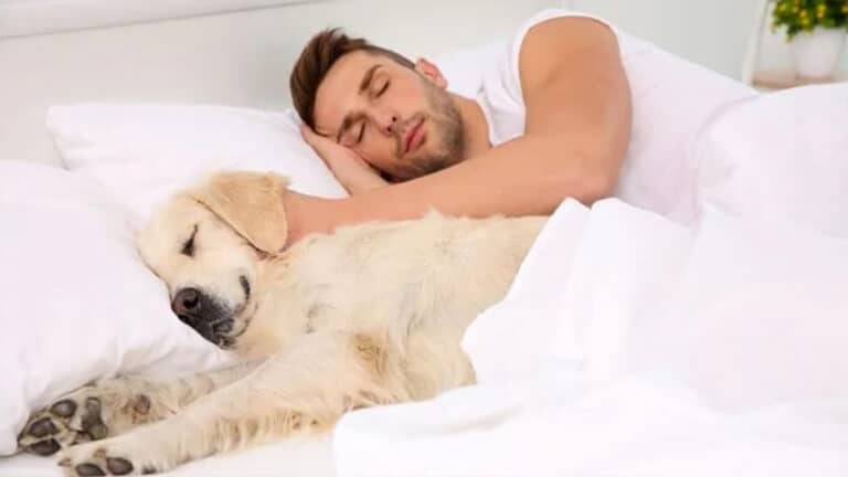 Les personnes qui dorment avec leurs animaux ont ces 7 caractéristiques selon les psychologues