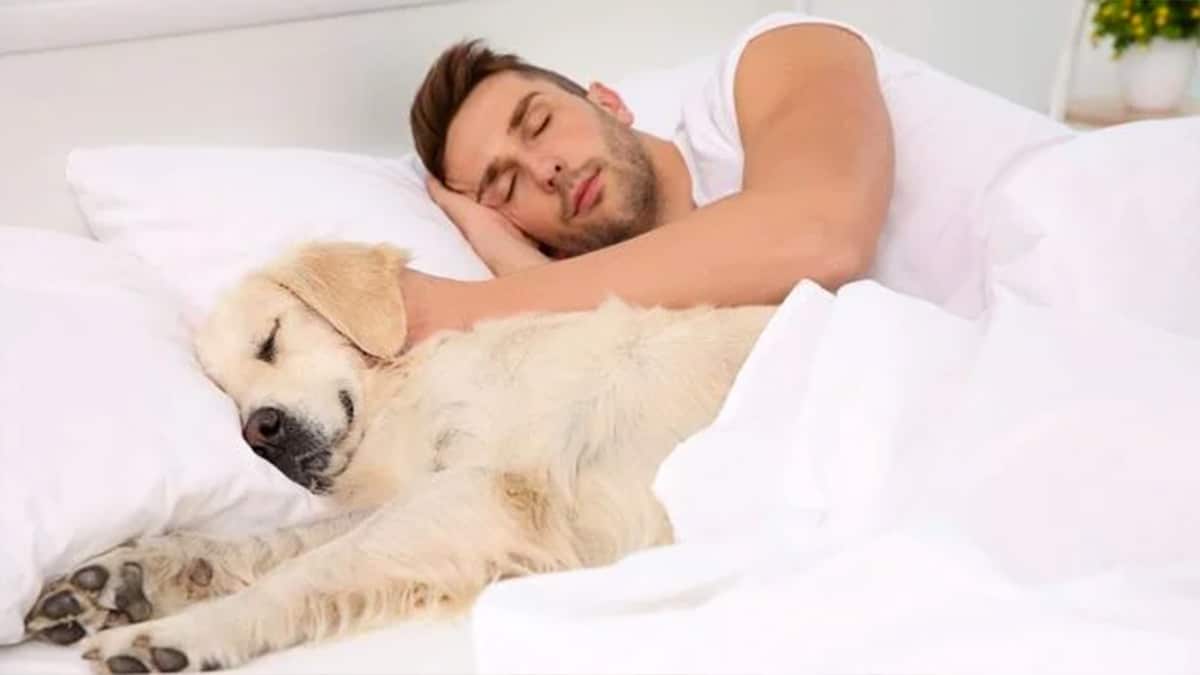 Les personnes qui dorment avec leurs animaux ont ces 7 caractéristiques selon les psychologues