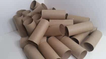 Ne jetez plus les rouleaux de papier toilette, ils sont un véritable trésor : leur utilisation méconnue