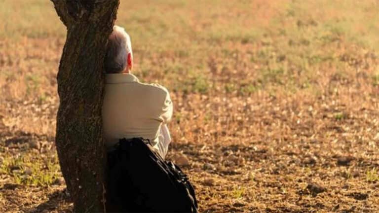 Ni mots croisés ni échecs : la meilleure activité pour les plus de 65 ans pour activer leur mémoire