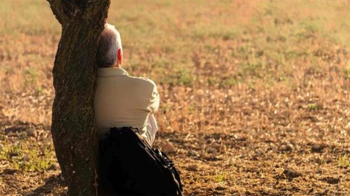 Ni mots croisés ni échecs : la meilleure activité pour les plus de 65 ans pour activer leur mémoire