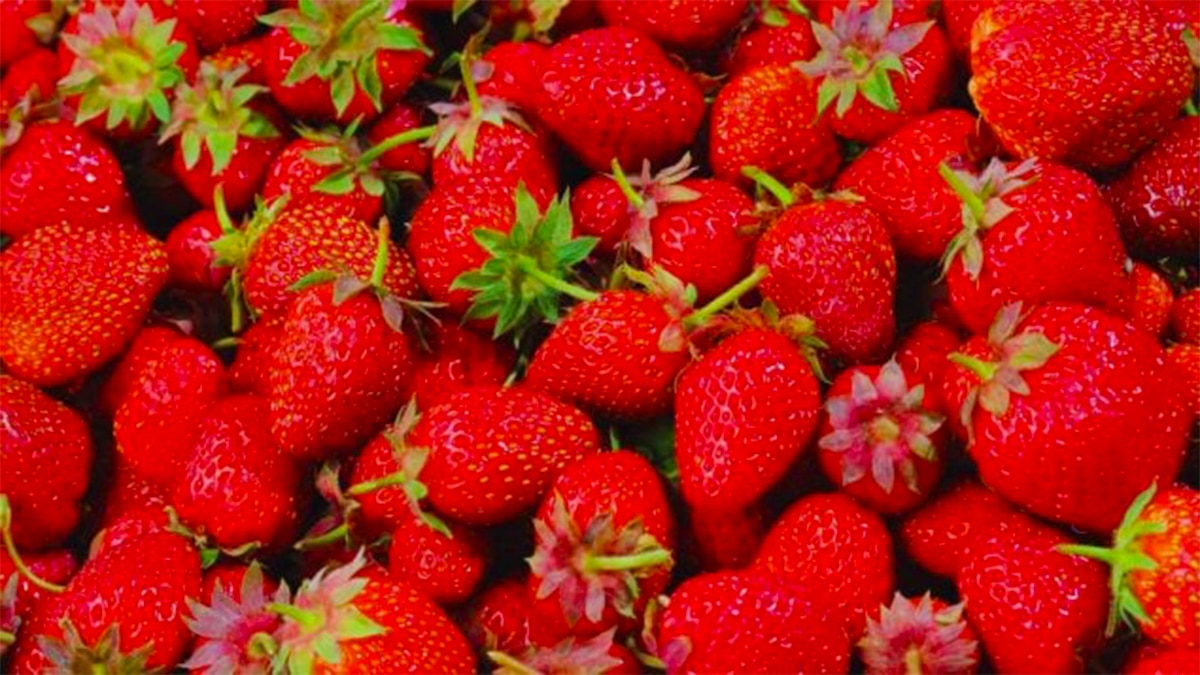 Ni sucre ni crème : l’astuce simple pour rehausser la saveur des fraises