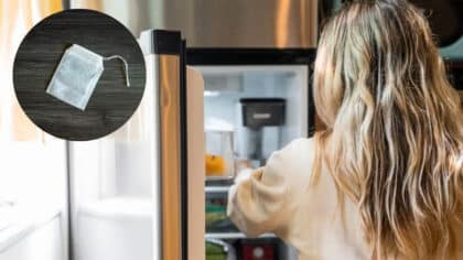 Placer des sachets de thé dans le frigo : une astuce dont vous ne pourrez plus vous passer