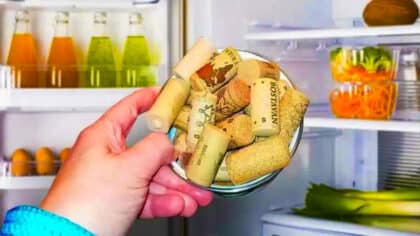 Placer un bouchon dans votre frigo : une astuce simple pour en finir avec votre plus gros problème