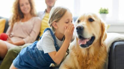 Pourquoi parlons-nous à nos animaux comme s’ils étaient des humains, selon la psychologie