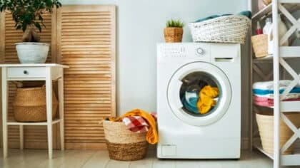 Vous l'avez mal fait toute votre vie: la partie de la machine à laver où vous devez mettre la lessive