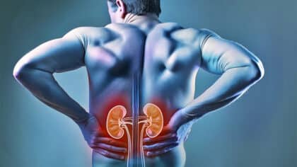 10 habitudes quotidiennes pour prendre soin de vos reins et prévenir les maladies rénales