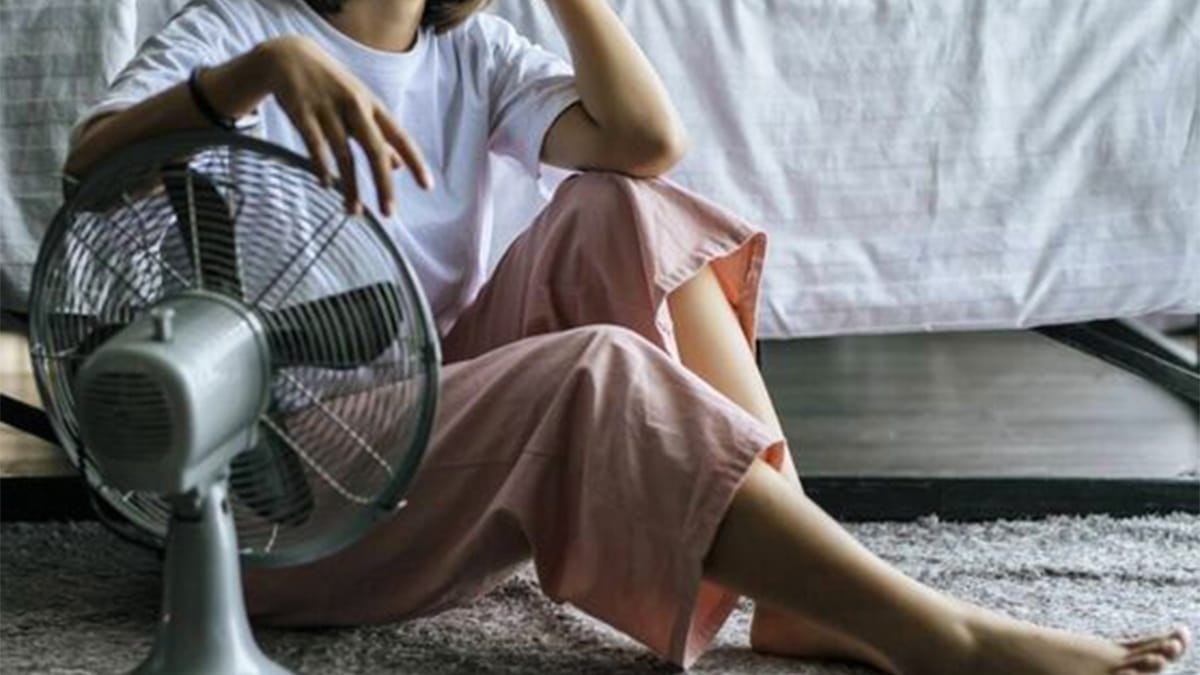 Adieu la chaleur : l’astuce simple pour rester au frais toute la journée sans climatisation