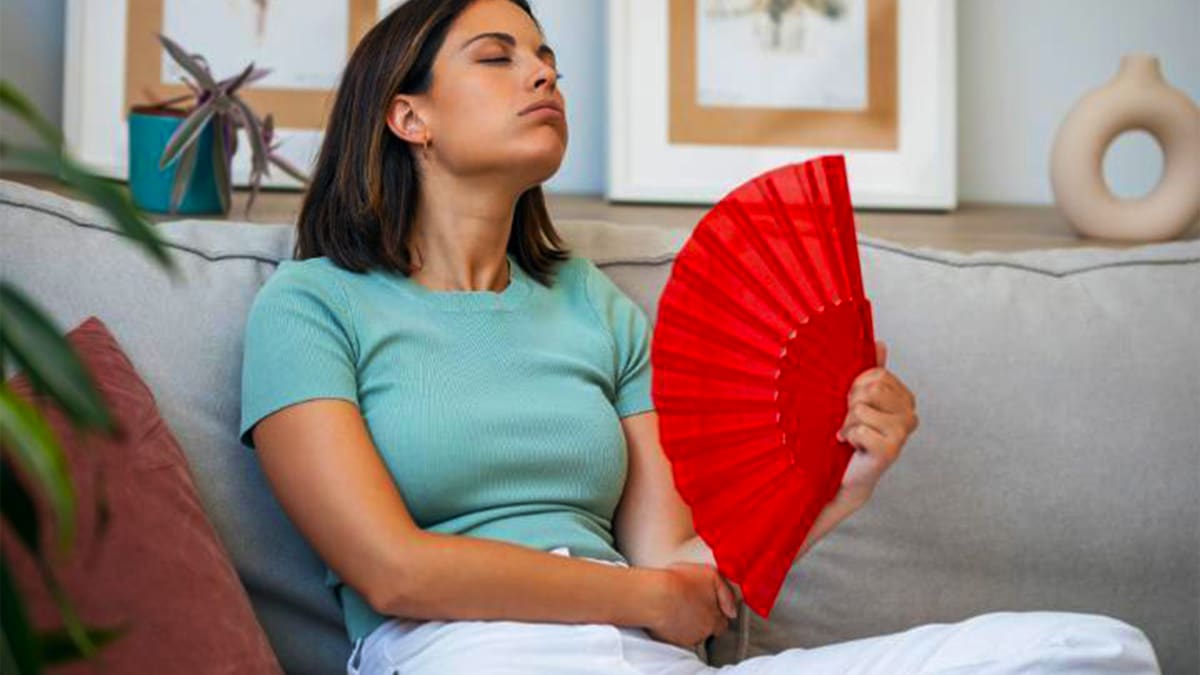 Adieu la climatisation : Lidl sort la solution parfaite pour rafraîchir votre maison pour moins de 15 €