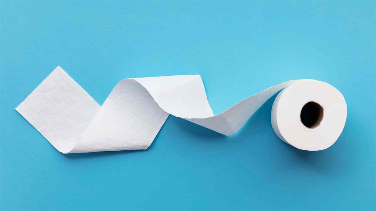 Adieu le papier toilette: les scientifiques confirment que son remplaçant est là et il est bien meilleur