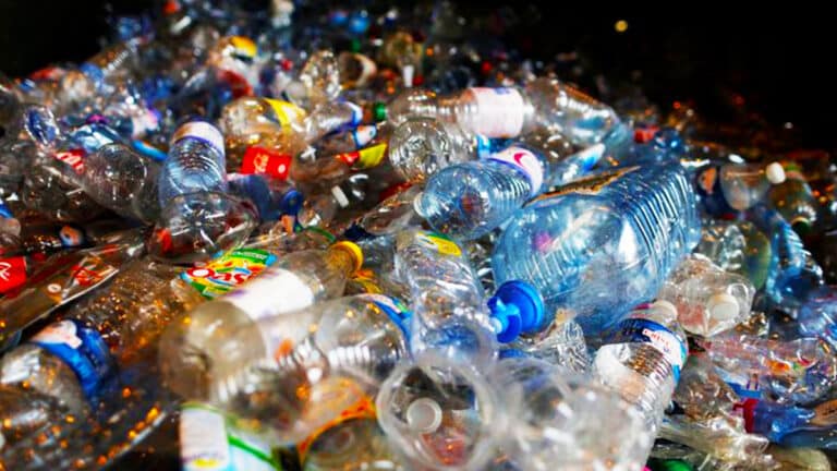 Adieu le plastique pour toujours : cette nouvelle invention va tout révolutionner et changer le monde