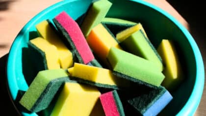 Adieu les éponges de cuisine : cette nouvelle tendance plus saine nettoie mieux votre vaisselle