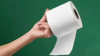 Adieu les moustiques : cette astuce avec du papier toilette que personne ne vous a dit