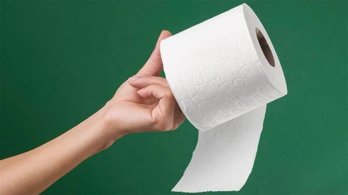 Adieu les moustiques : cette astuce avec du papier toilette que personne ne vous a dit