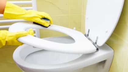 Adieu les taches jaunes : comment blanchir l’abattant des toilettes avec 2 ingrédients courants