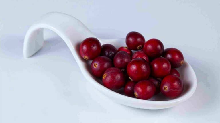Alerte urgente des médecins : manger ce fruit peut annuler l’effet de vos médicaments