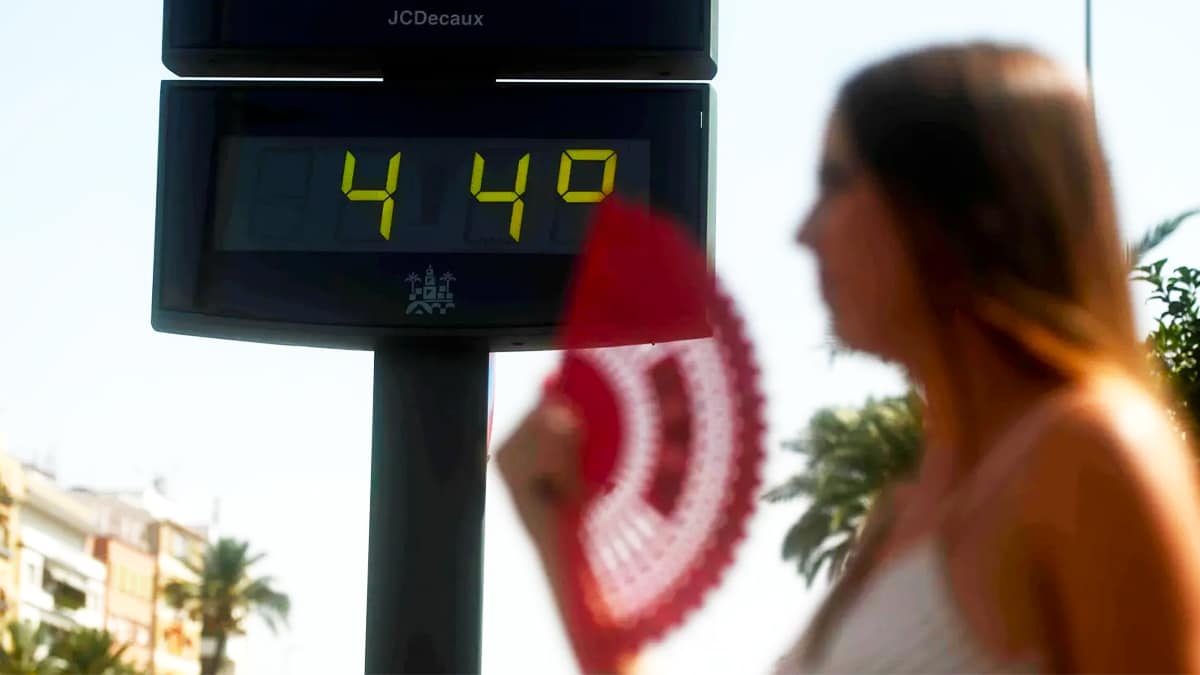 Comment votre corps survit à la canicule et comment bien protéger votre santé