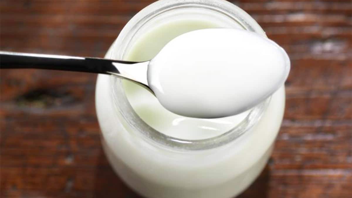 Des chercheurs révèlent ce qui se cache derrière le liquide des yaourts