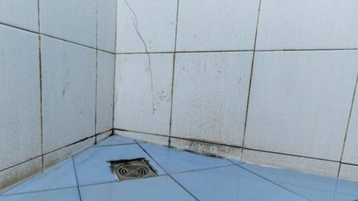 Éliminer définitivement les moisissures de votre salle de bain avec 3 ingrédients populaires