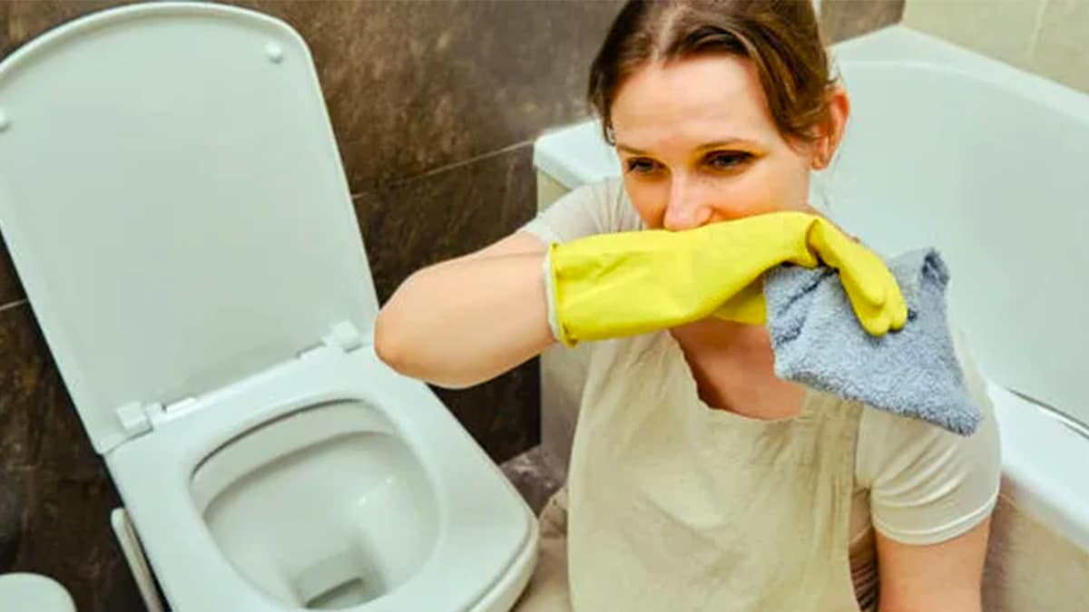 Éliminez les mauvaises odeurs dans votre salle de bain avec cette astuce radicale qui change tout