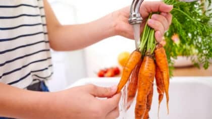 La bonne façon de laver les carottes pour éliminer la saleté, les microbes et les bactéries