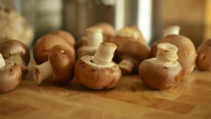 La bonne façon de laver les champignons pour enlever les restes de terre, vers et microbes