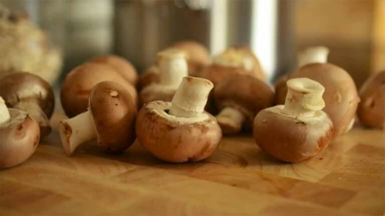 La bonne façon de laver les champignons pour enlever les restes de terre, vers et microbes