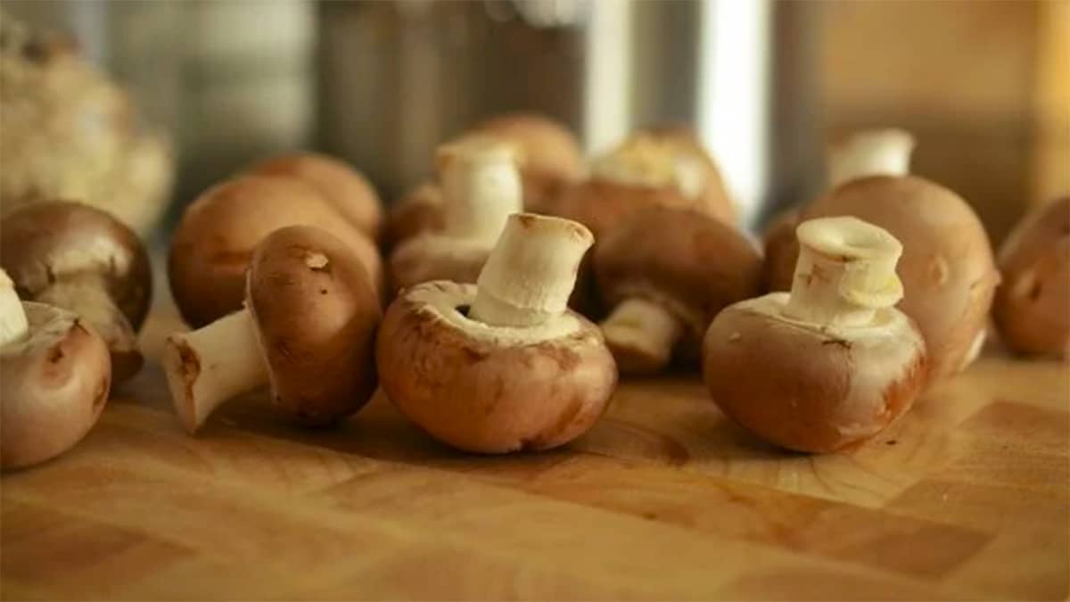 La bonne façon de laver les champignons pour enlever les restes de terre, vers et microbes