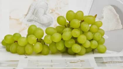 La bonne façon de laver les raisins pour éliminer les germes efficacement : les experts alertent